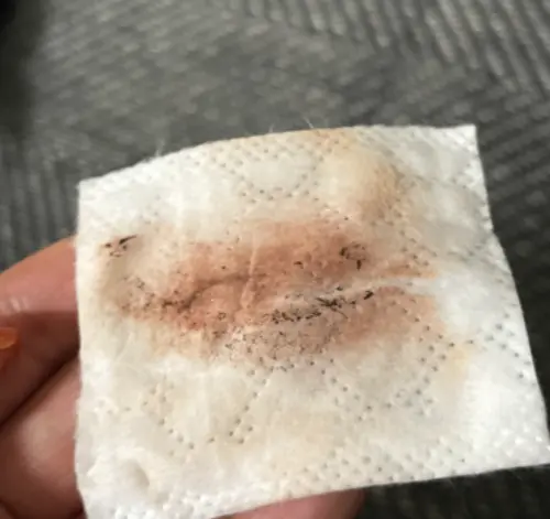 买家评价图片