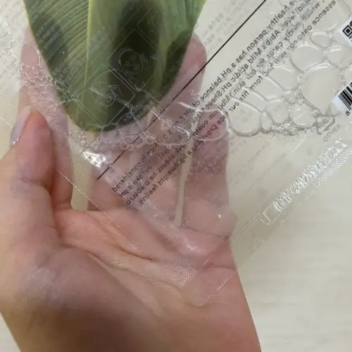 买家评价图片