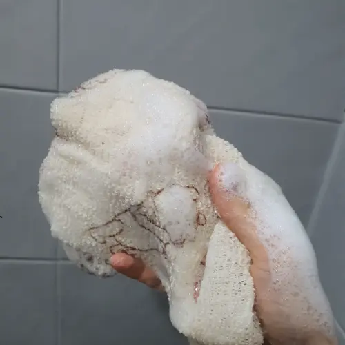 买家评价图片
