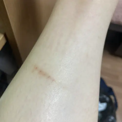 买家评价图片