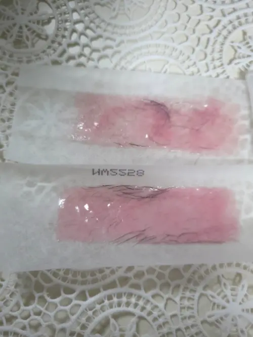 买家评价图片
