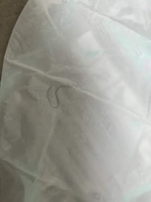 买家评价图片