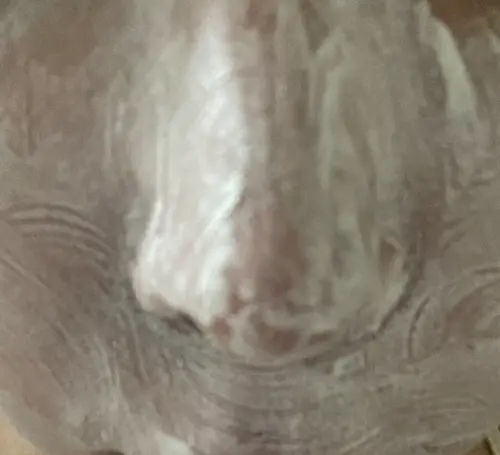 买家评价图片