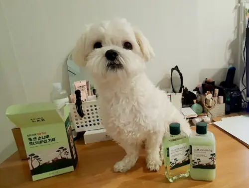 买家评价图片