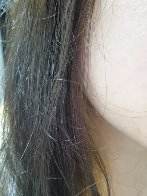 买家评价图片
