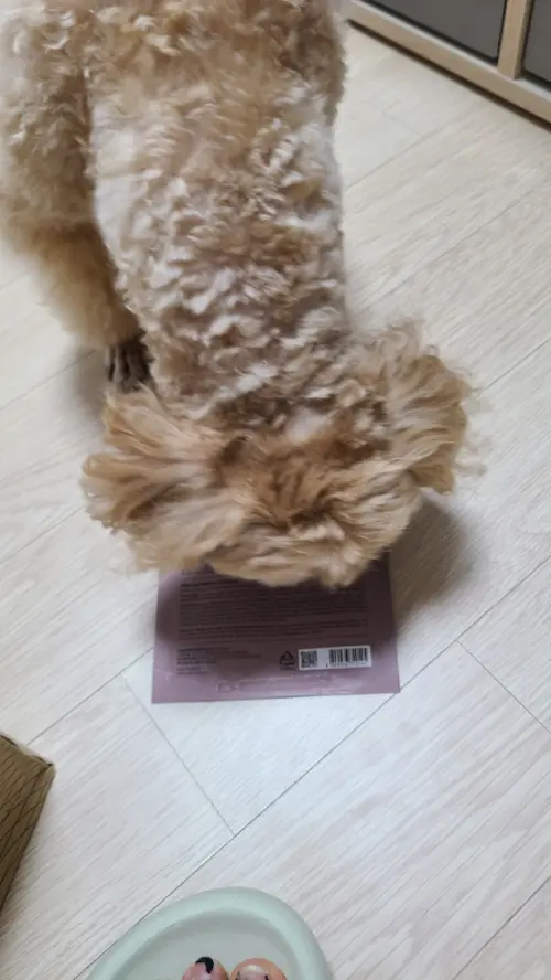 买家评价图片