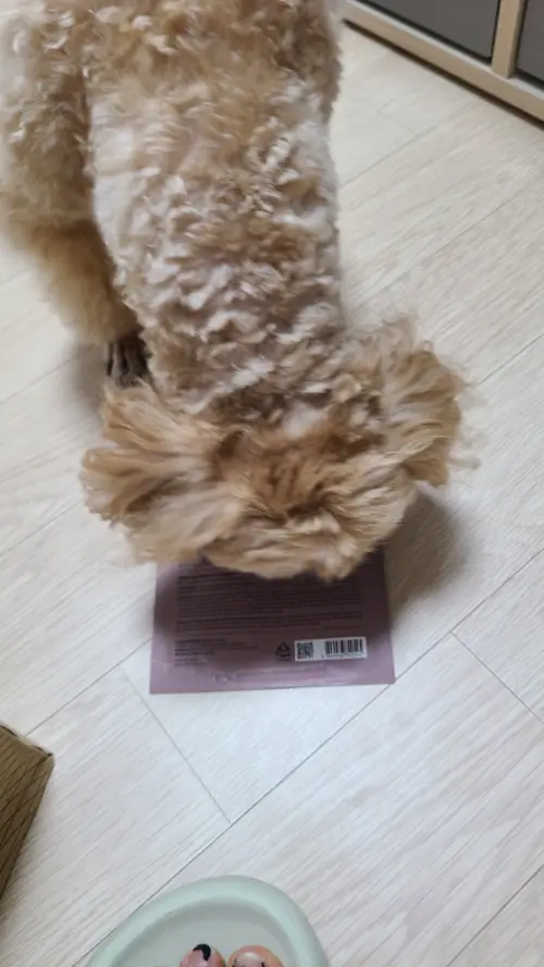 买家评价图片