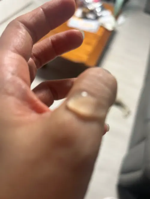买家评价图片