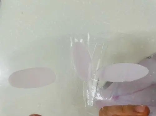 买家评价图片