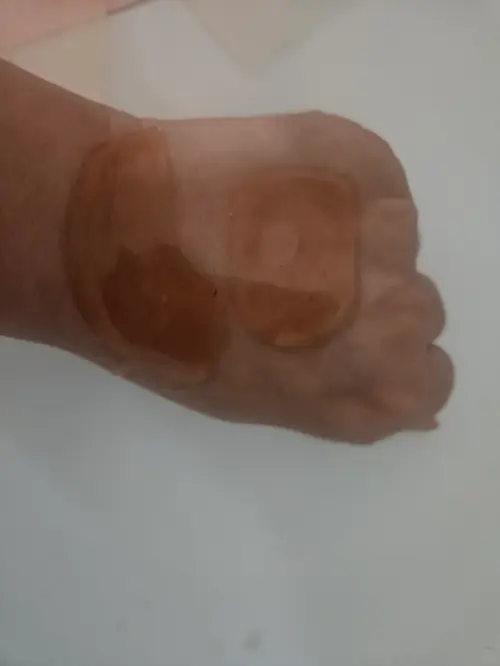 买家评价图片