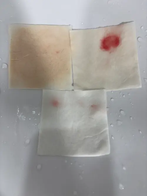 买家评价图片