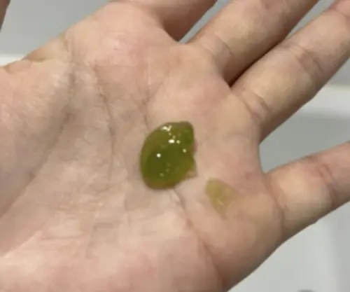 买家评价图片