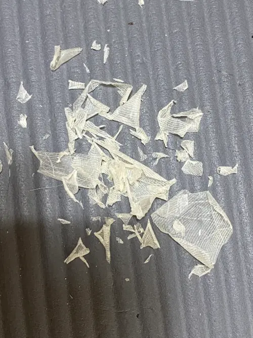 买家评价图片