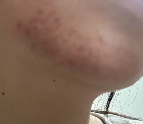 买家评价图片