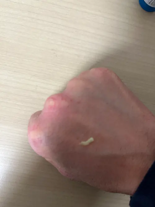 买家评价图片