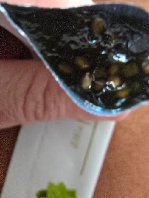 买家评价图片