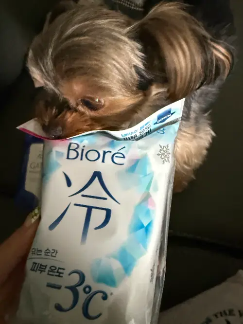 买家评价图片