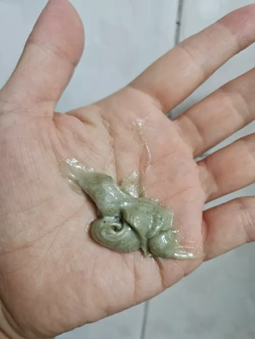 买家评价图片