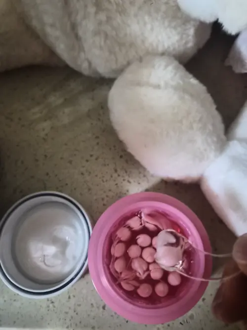 买家评价图片
