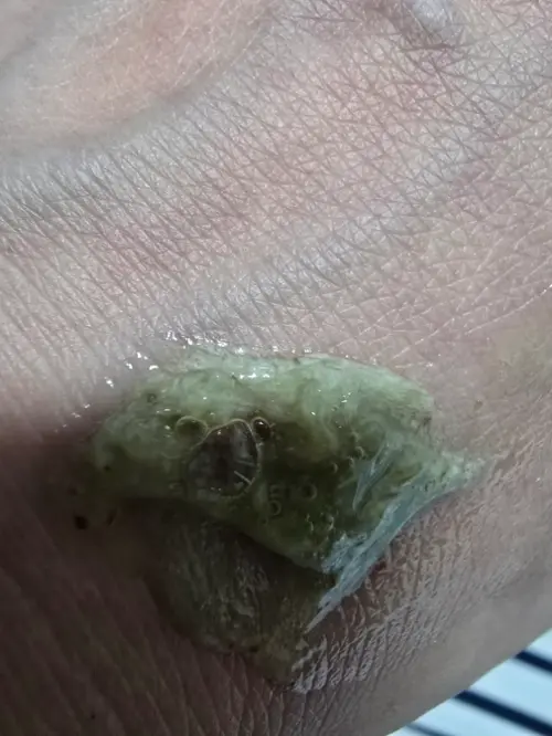 买家评价图片