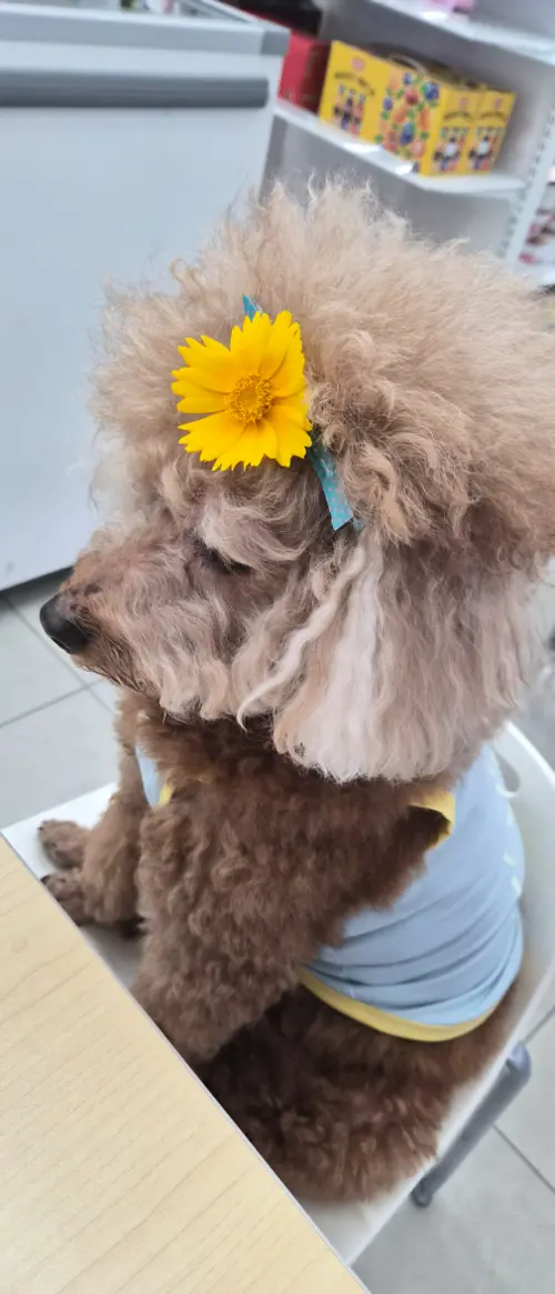 买家评价图片