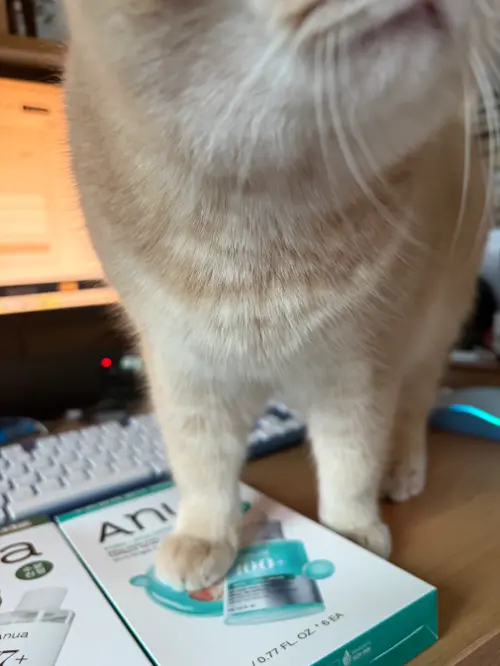 买家评价图片