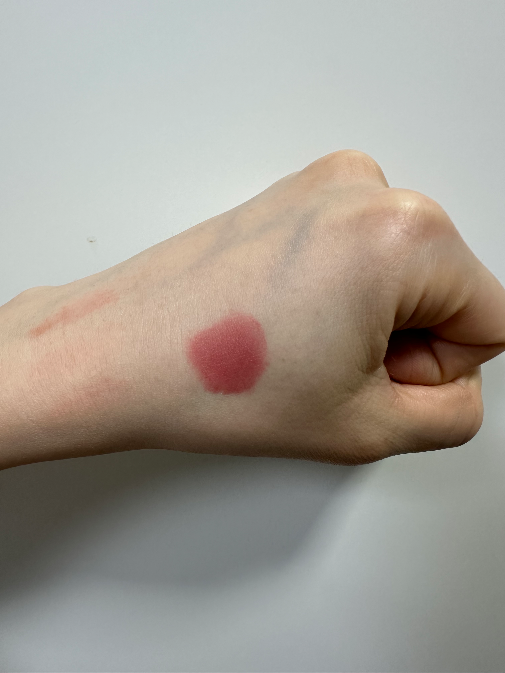 Hand swatch · Shade 06 Bare Rose