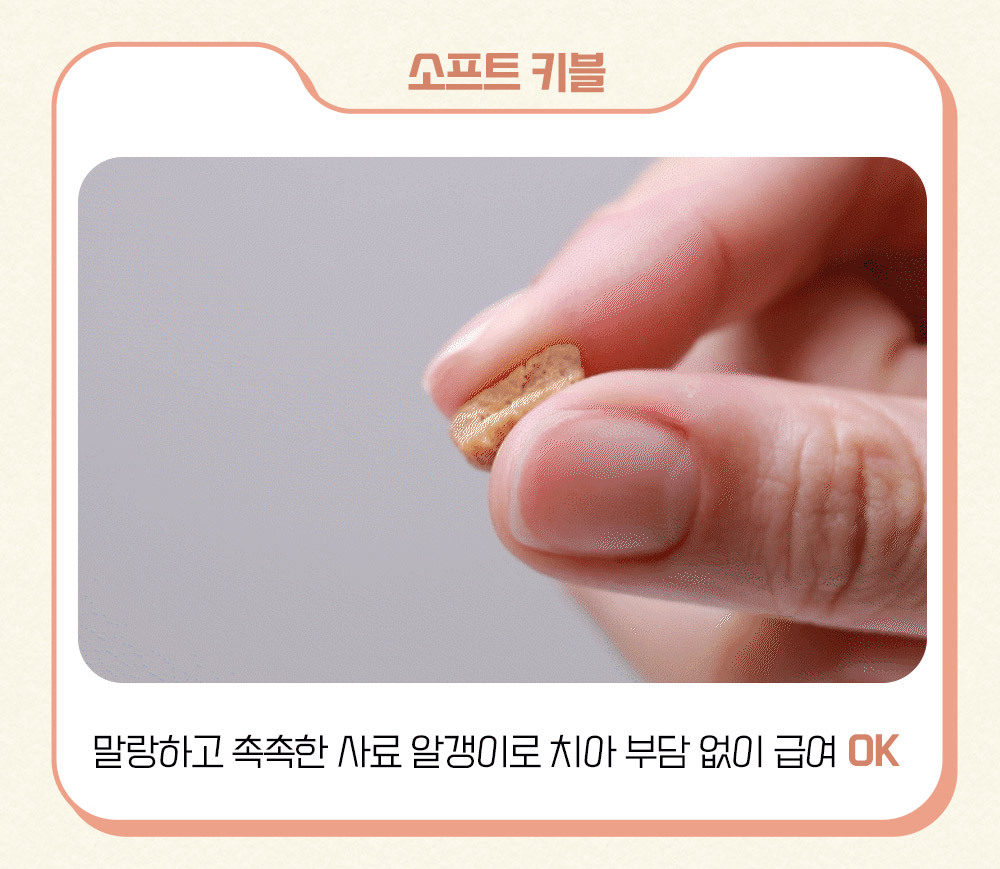 윌로펫 뉴트리탑 퍼피 3kg  이미지