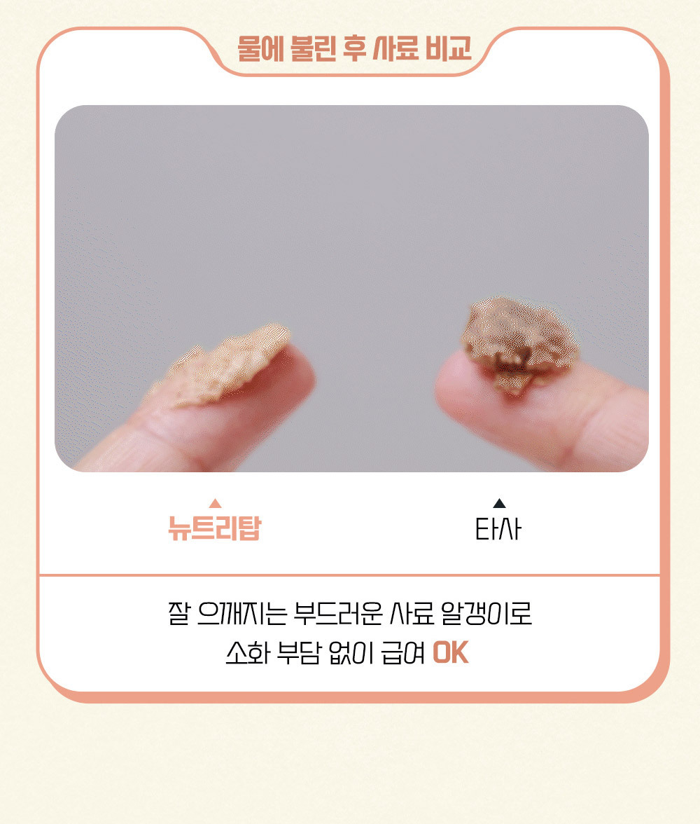 윌로펫 뉴트리탑 퍼피 3kg  이미지